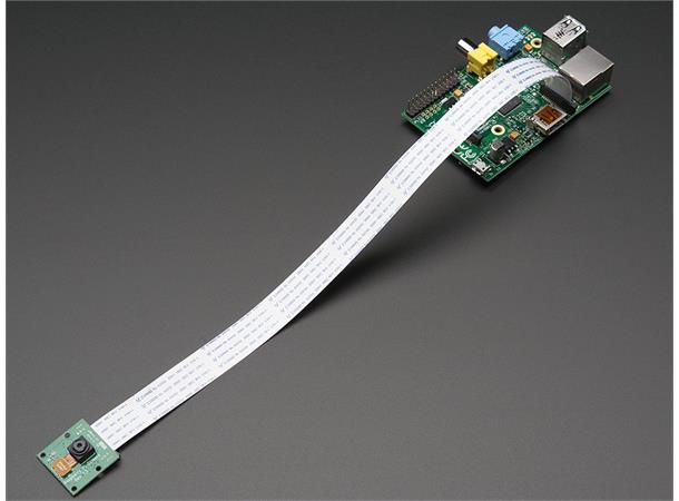 Flex Cable for Pi Camera or Display 300mm / 12"