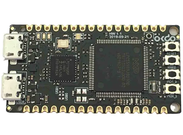 Okdo, E1 Evaluation Board LPC55S69 640kbyte flash microcontroller