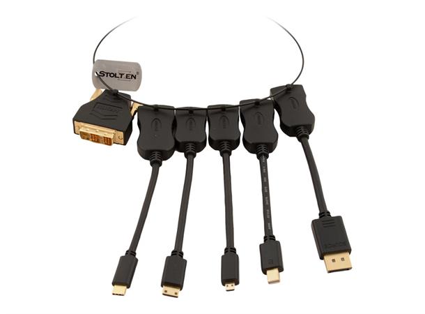 Stoltzen Nyx Adapter Ring Cable 6 DP,MiniDP,MicroHDMI,MiniHDMI,DVI-D&USB-C