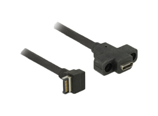 Delock USB3.1 gen2 A20 Female til USB-C USB-C (20-pin mini) connector