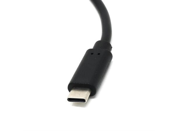 USB-C to 4-Pin Molex Socket Cable (0.5m) Raspberry Pi Internal Power adapter