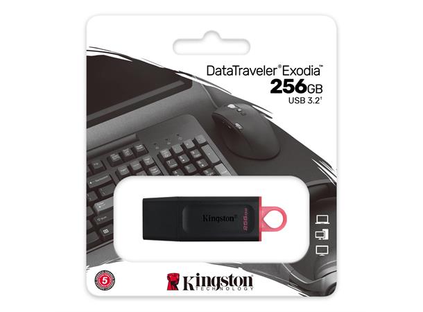 Kingston 256GB Data Traveler Exodia Minnepenn, USB 3.2