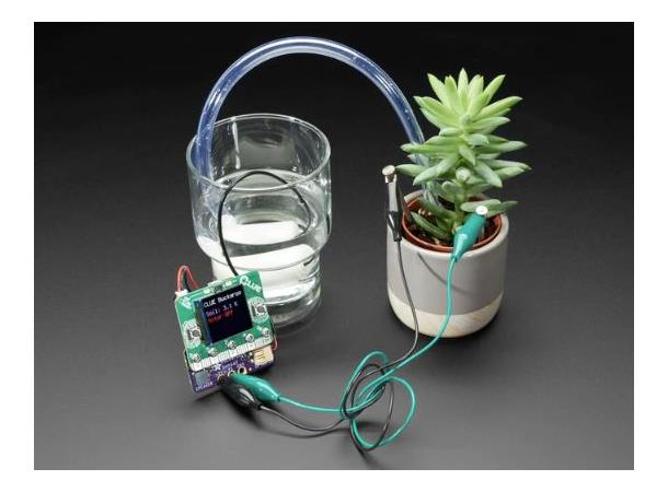 Adafruit Bonsai Buckaroo til micro:bit og CLUE Plant Car