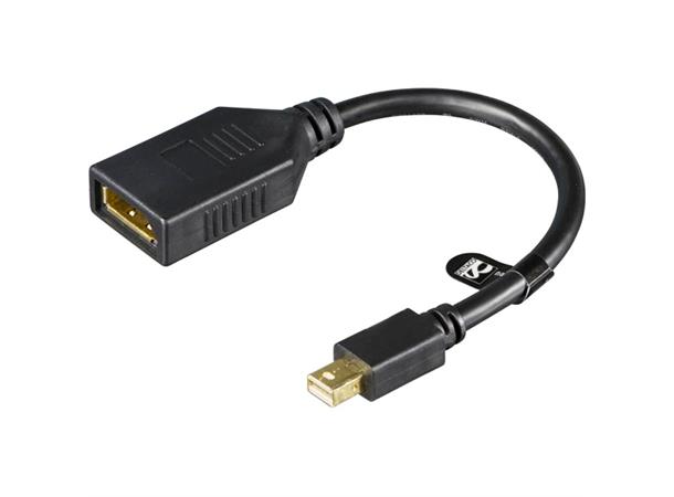 Adapter, DP hunn - miniDP hann - gir miniDP-endestykke til din DP-kabel